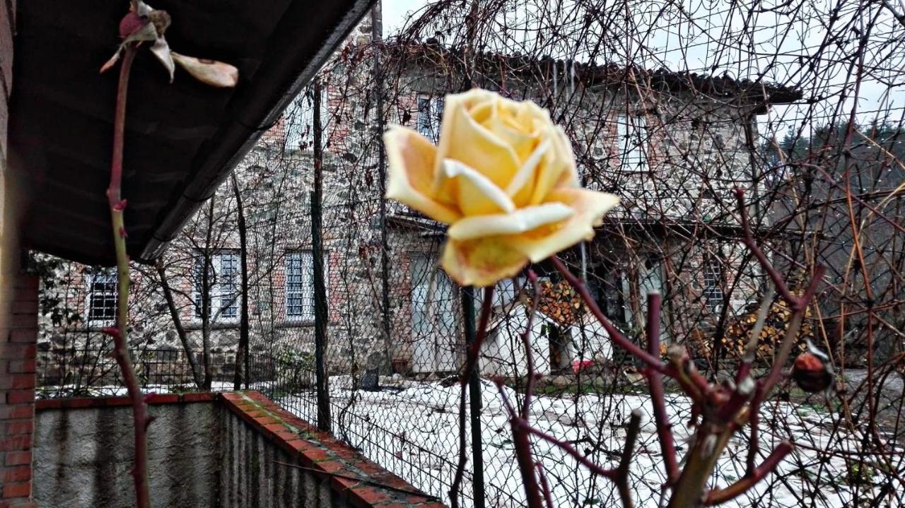 Agriturismo Paneolio Villa Collemandina Extérieur photo
