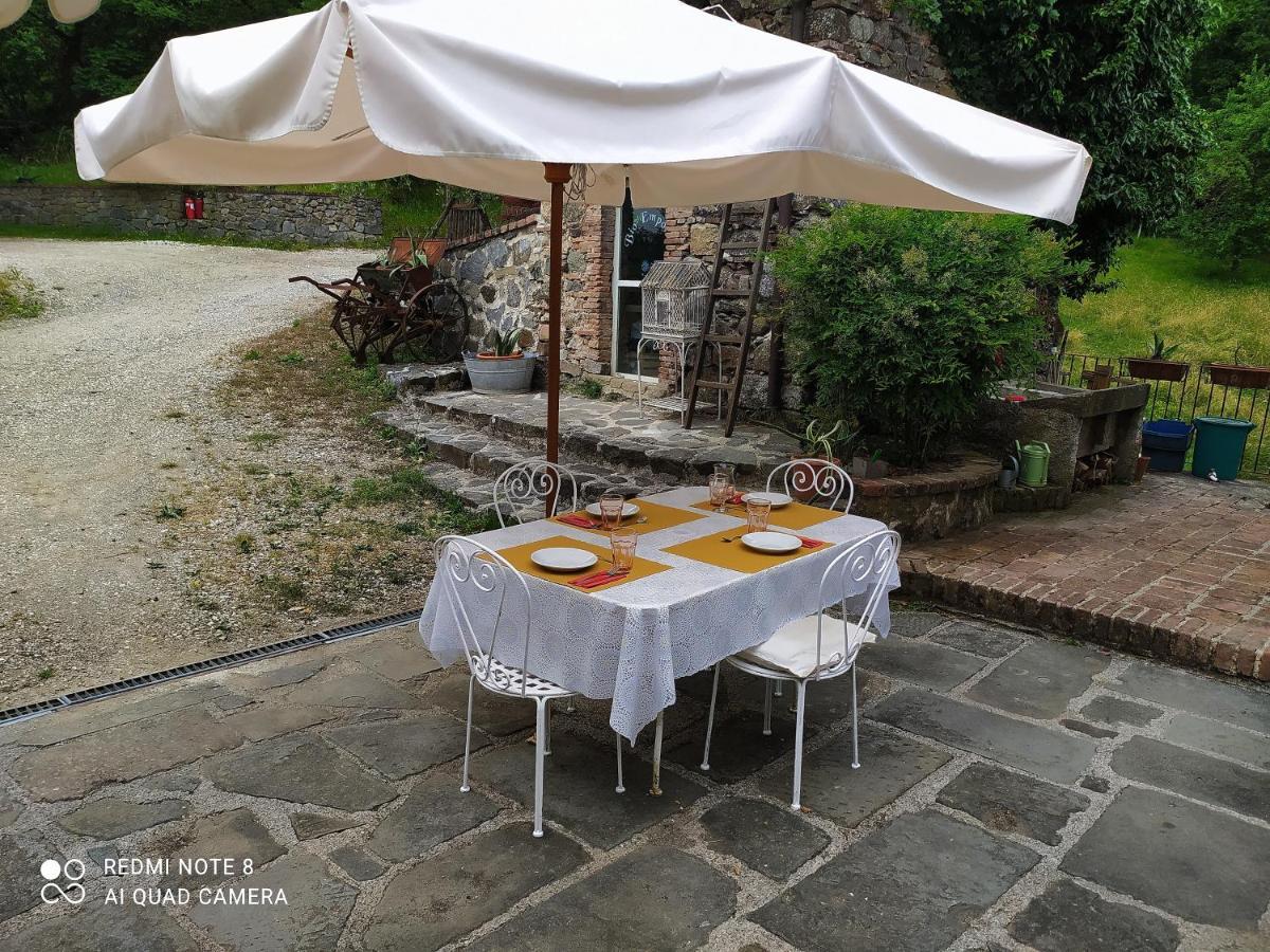 Agriturismo Paneolio Villa Collemandina Extérieur photo